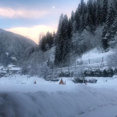 Holidays Dolomiti Apartment Resort Карисоло Екстериор снимка
